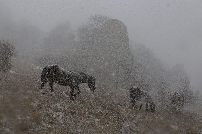 Снегопад на Демерджиphoto preview