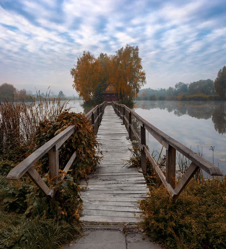 украина, ukraine, житомир, zhytomer На Житомирщине.photo preview