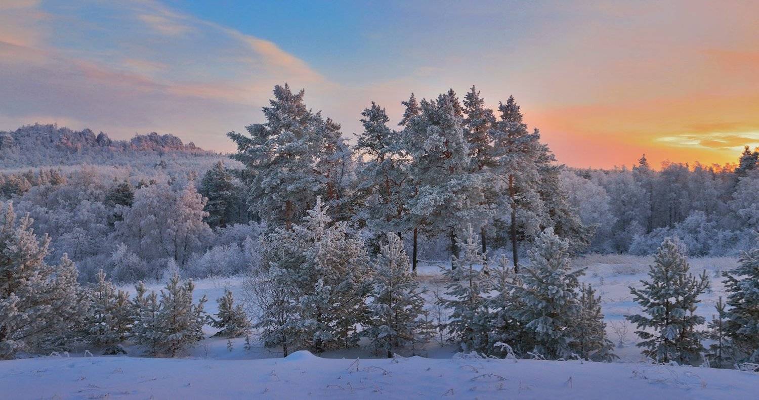 Самый короткий день. Автор: Клековкин Алексей , Клековкин Алексей
