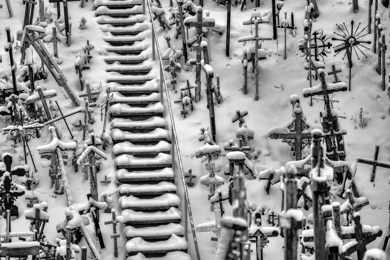 У каждого свой путьphoto preview