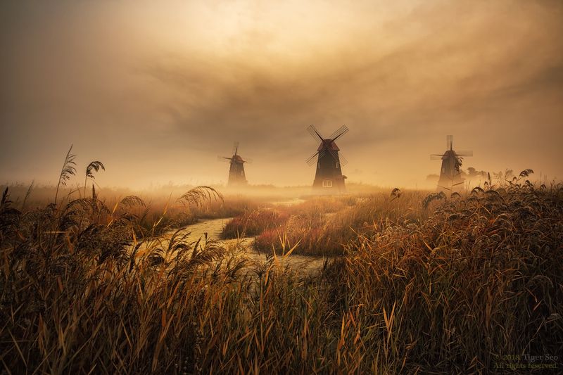 windmill forest sunrise fog foggy cloud light Kroea landscape foggy morningphoto preview
