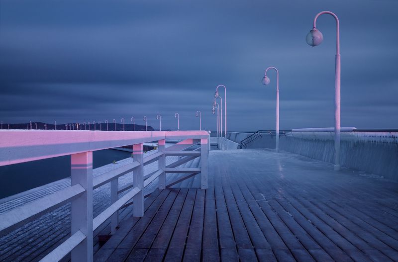 Зимняя вишняphoto preview