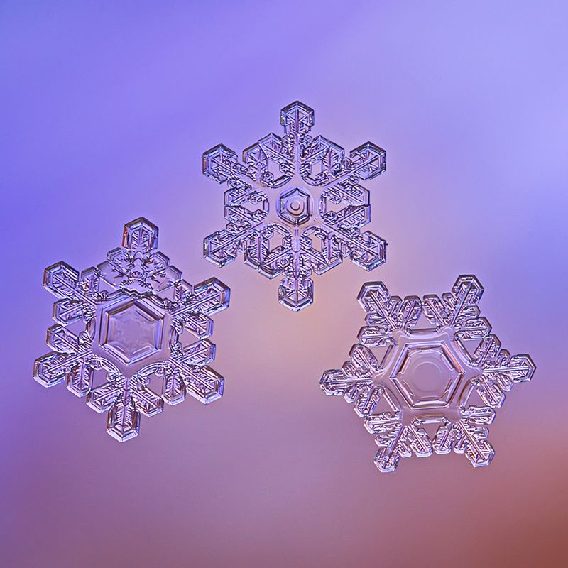 снежинка, снежинки, макро, природа, кристалл, зима Триоphoto preview