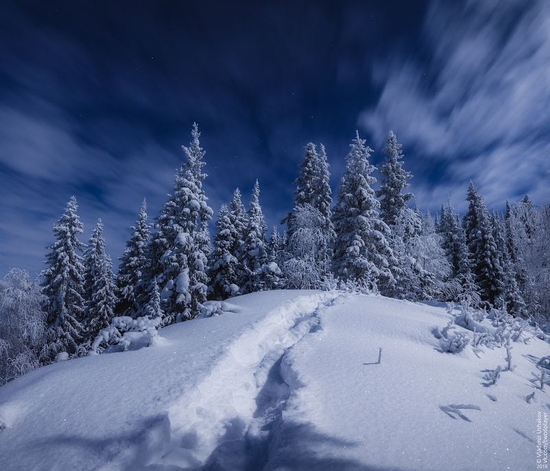 ночь, зима, мороз, снег, лес, тропа, пермский край Ночной лес фото превью