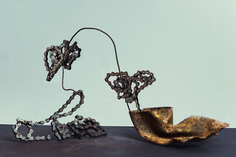 FLOWERSphoto preview