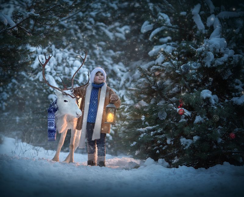 В поисках деда морозаphoto preview