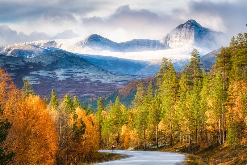 autumn, color, dream Autumn color naturephoto preview