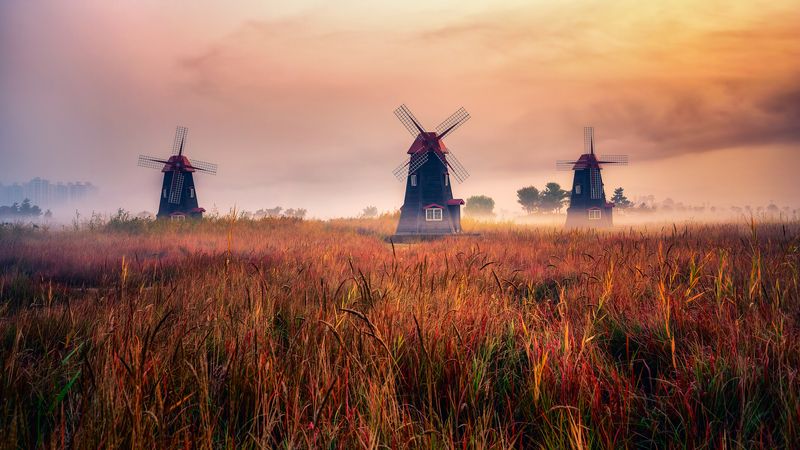 windmill foliage forest fog morning landscape cloud sky Kroea cloudy morningphoto preview