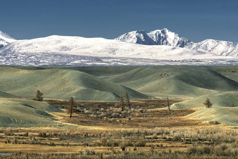 северо-чуйский,  горный алтай, курай В Курайской степи...photo preview
