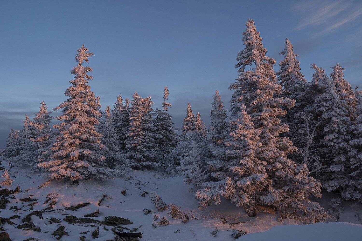 , Андрей Шарапов
