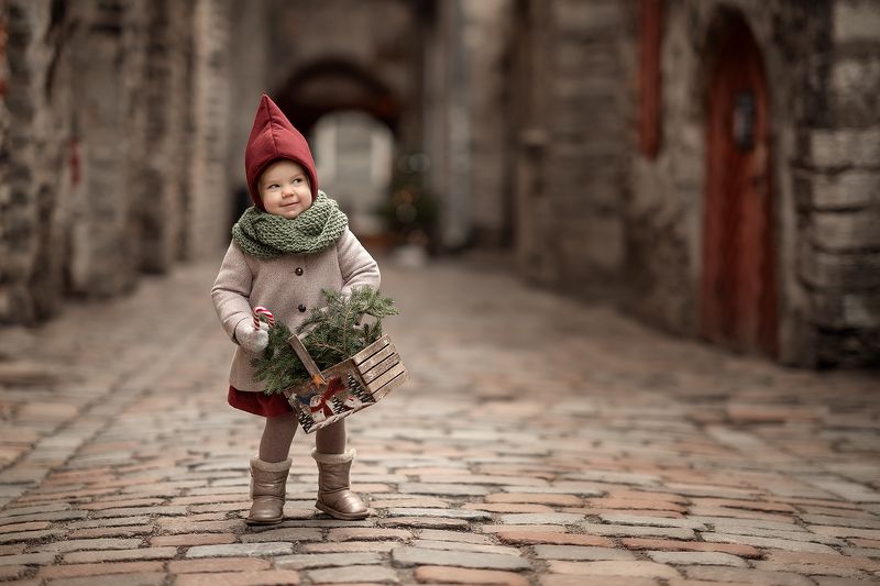 Помощница Сантыphoto preview