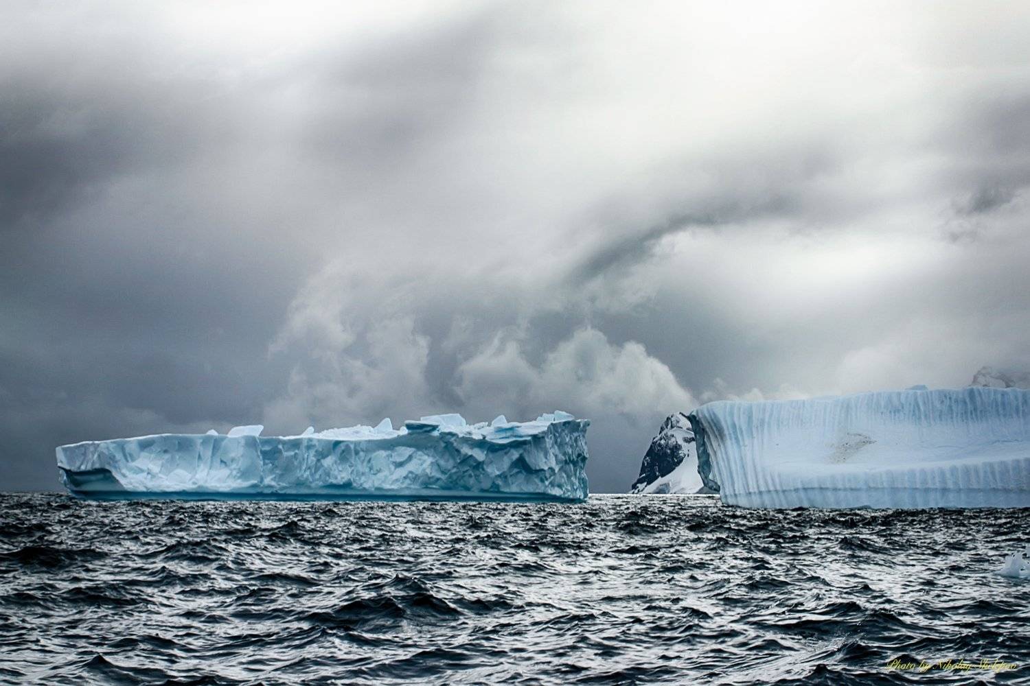 , Николай Шелепов