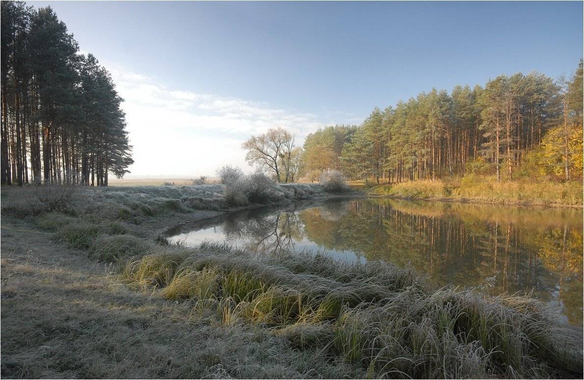 , Николай Шахманцир