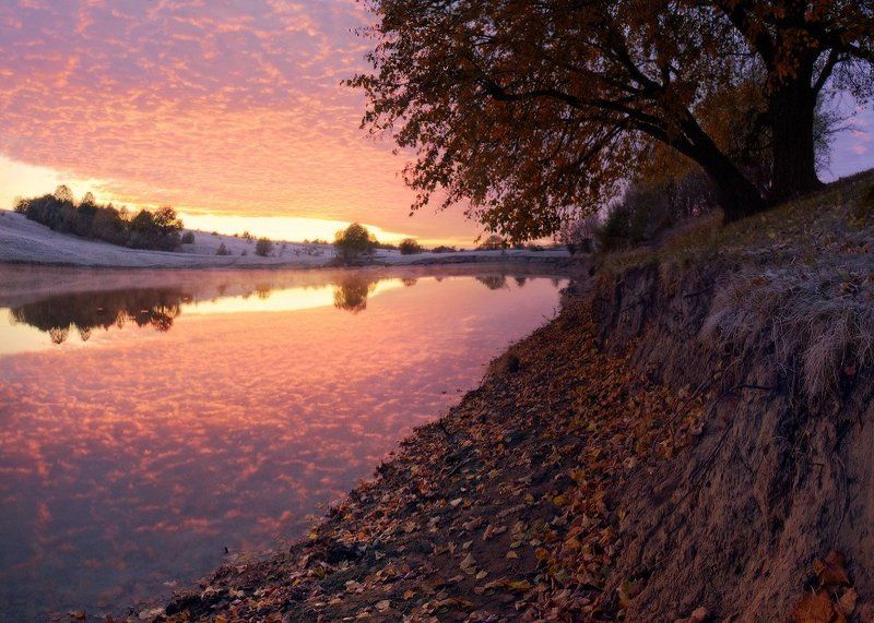 Одно осеннее утроphoto preview