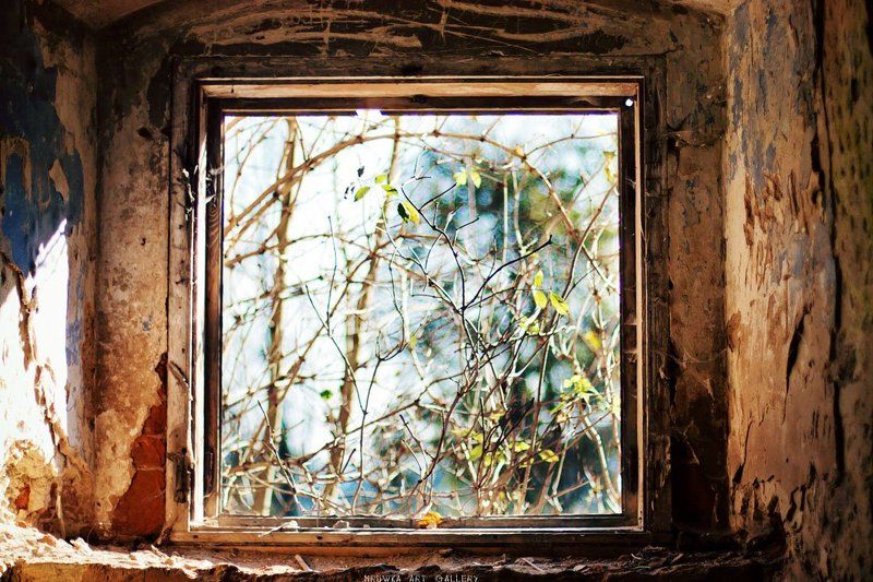 окно фото превью