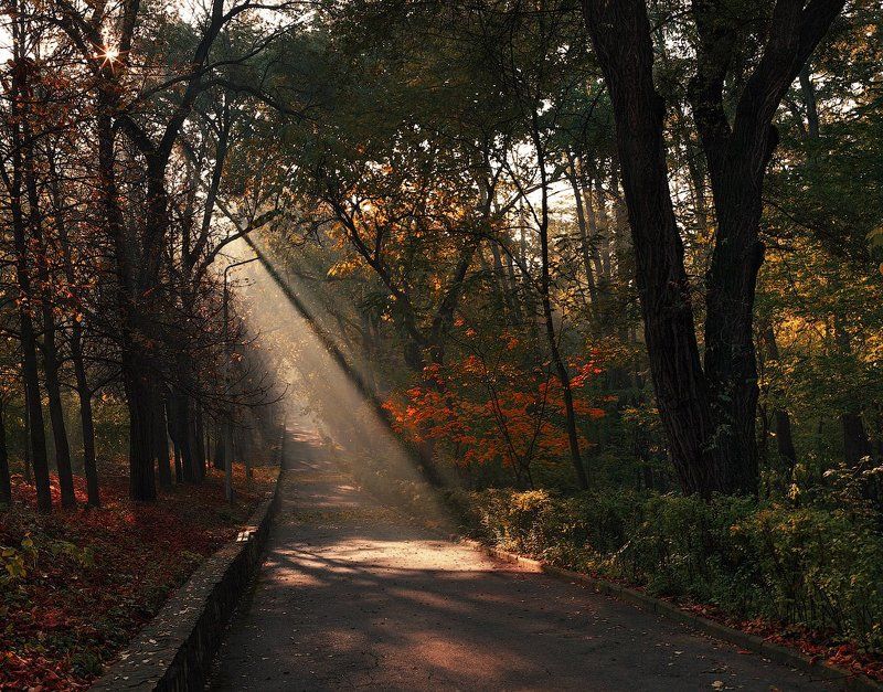 automn, sunshine oceннее настроениеphoto preview