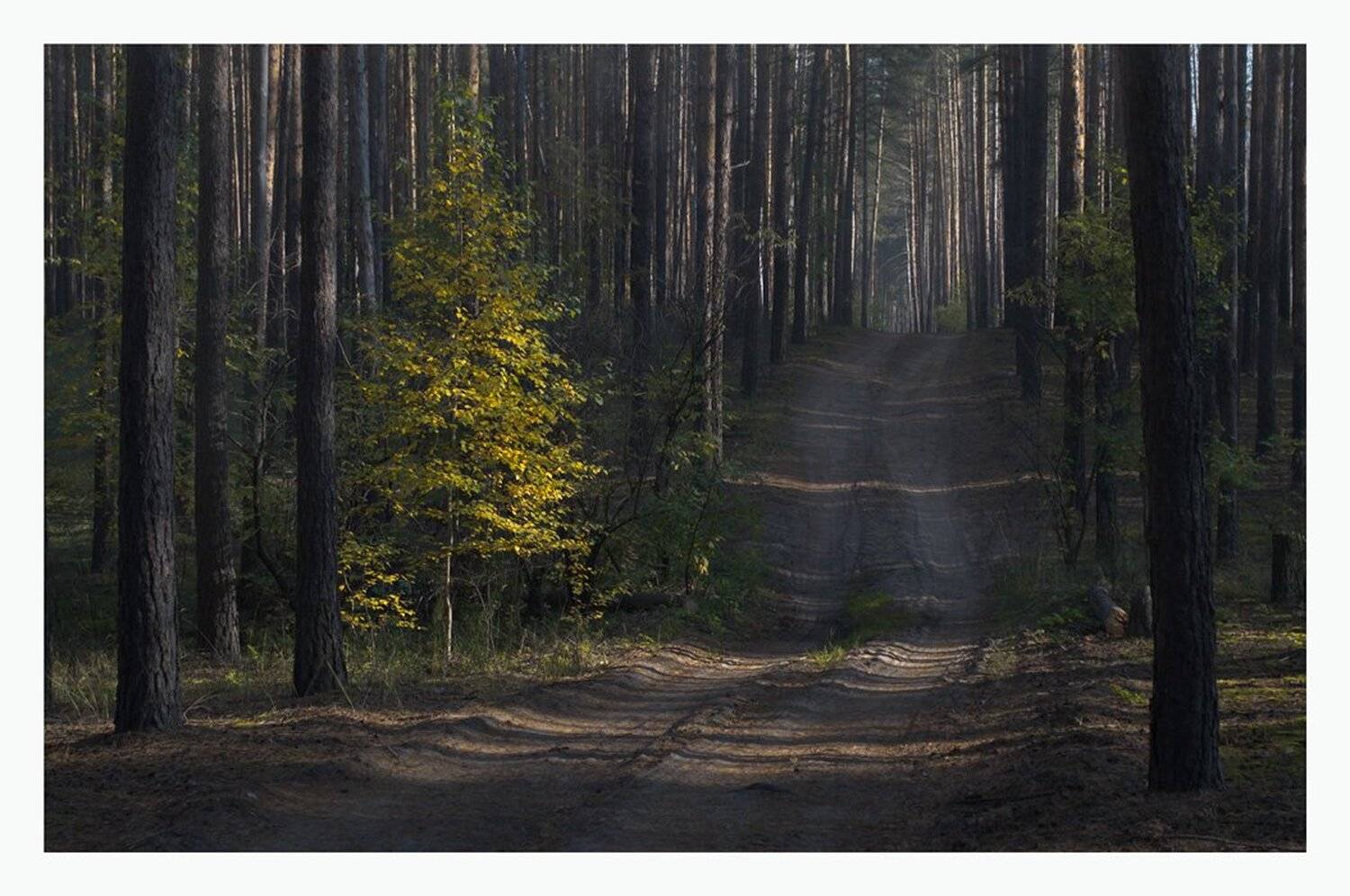 , Сергей Полукаров