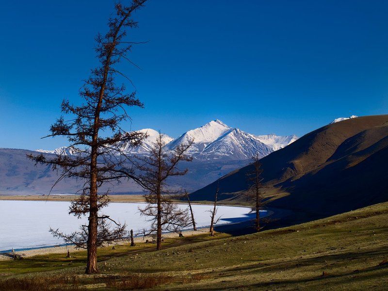 , монголия, хубсугул Хубсугул фото превью