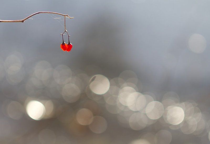 Перспектива красных фонарей...photo preview