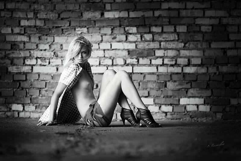 ____--------photo preview