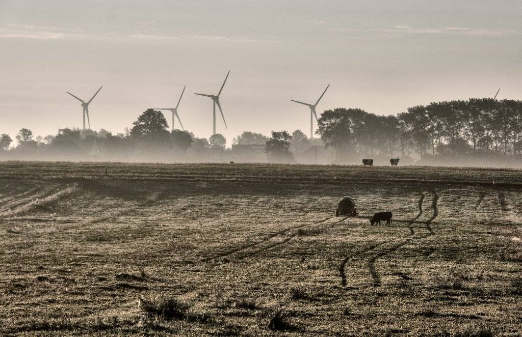 Утренние туманы. Автор: Павел Дунюшкин , Павел Дунюшкин