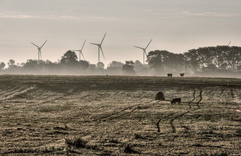 Утренние туманыphoto preview