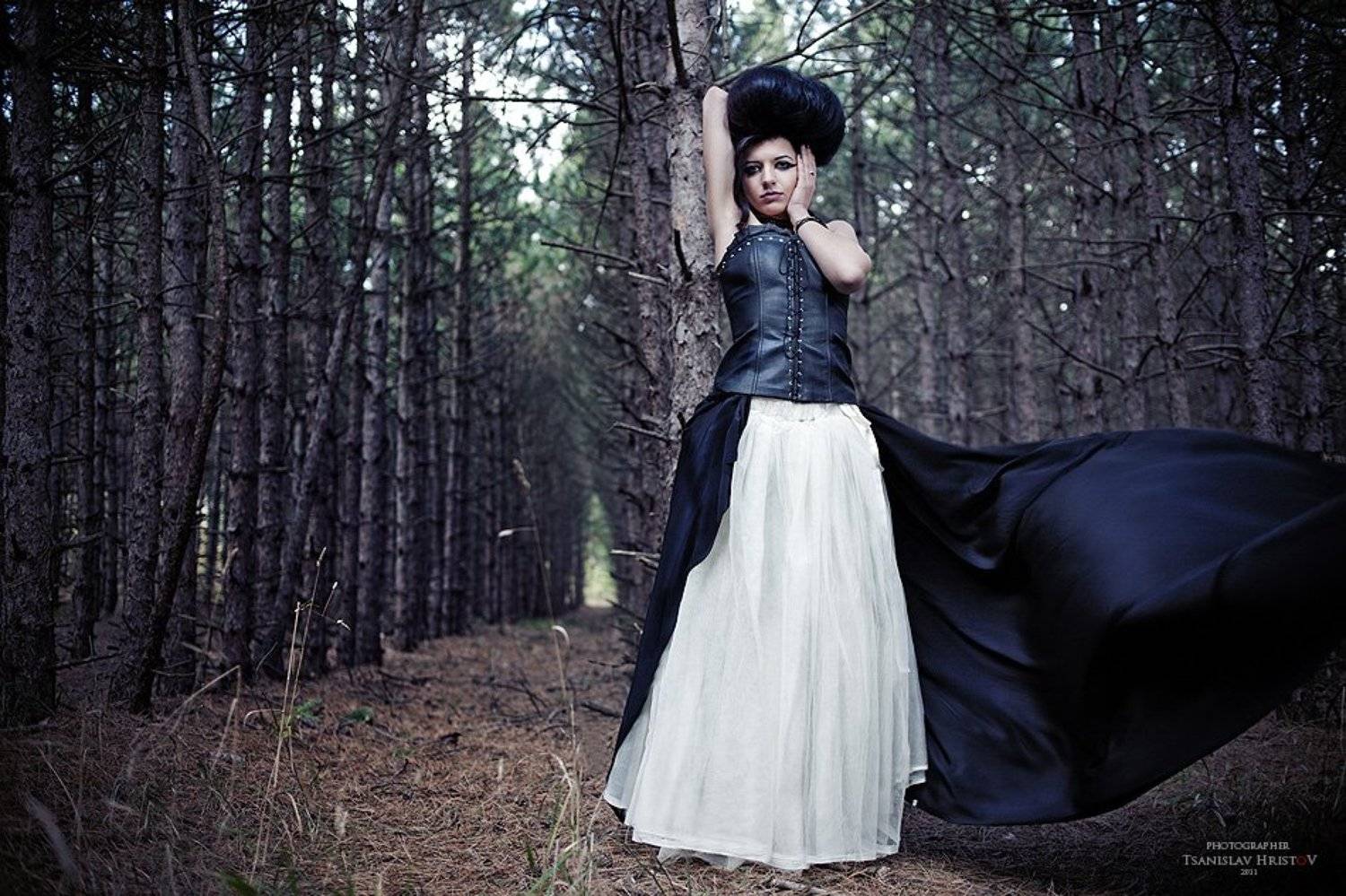 Автор: Цанислав Христов , Цанислав Христов