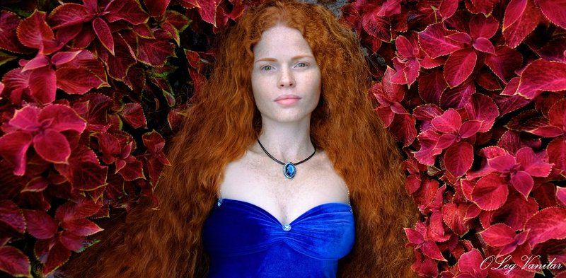 exellent red winephoto preview