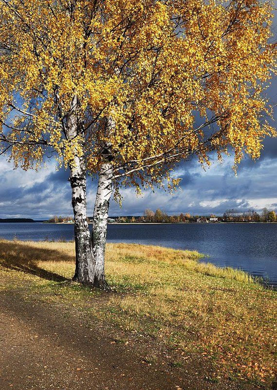 кирс photo preview