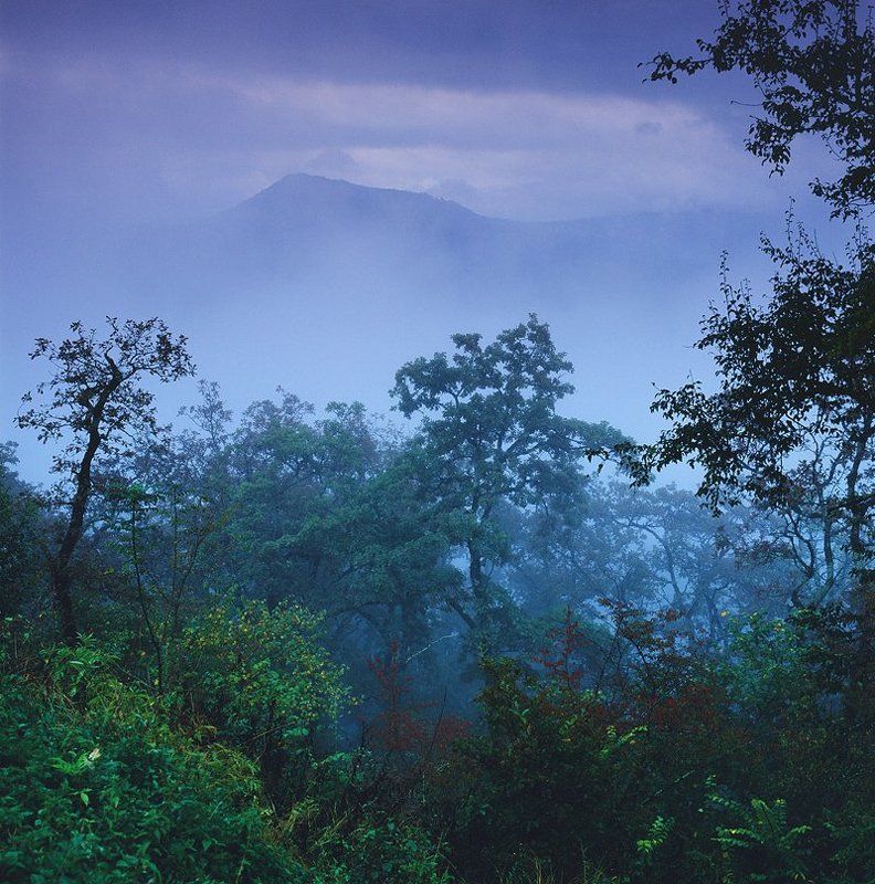 лаго-наки Близ плато Лаго-Накиphoto preview