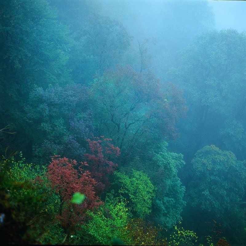 лаго-наки Близ плато Лаго-Наки # 2photo preview