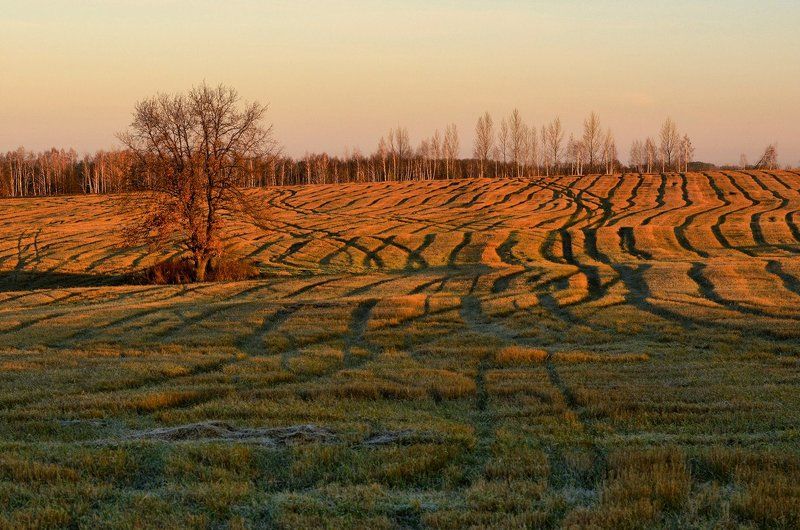 Морщины...photo preview