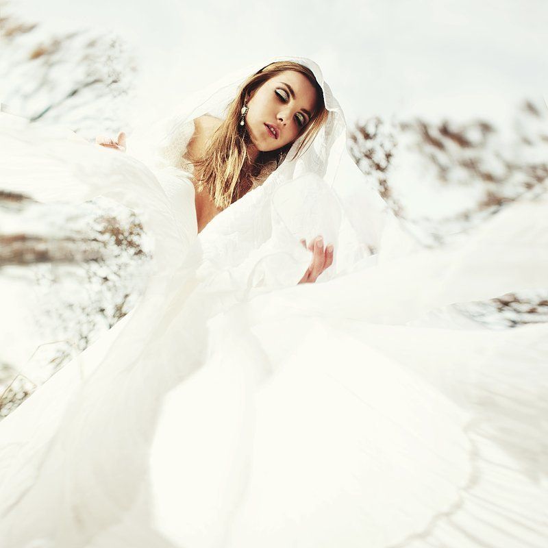 wild windphoto preview