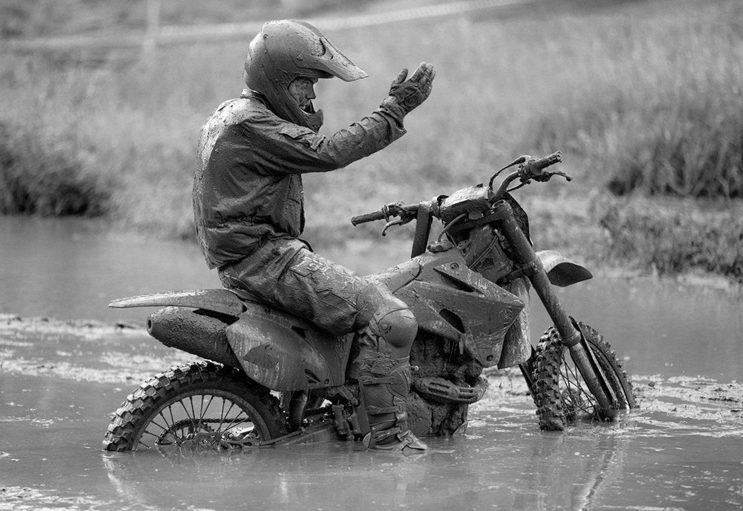 указатель. Автор: Бамбизов Андрей , Бамбизов Андрей