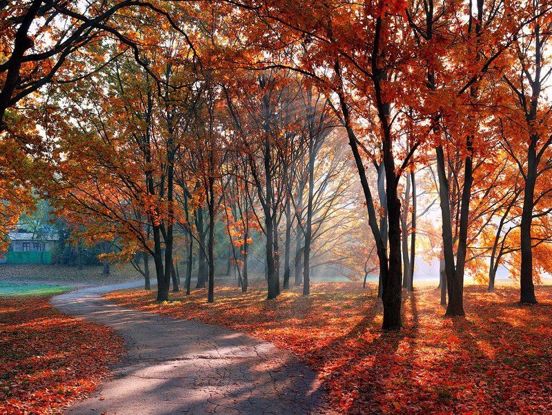 oceннее настроениеphoto preview