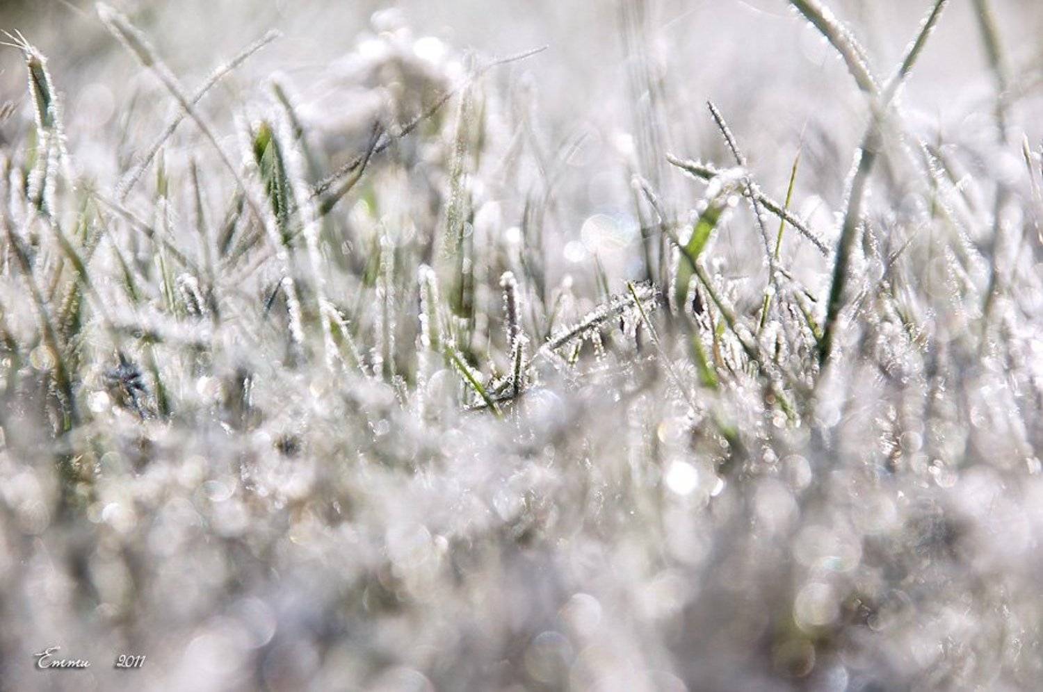 иней, природа, етти