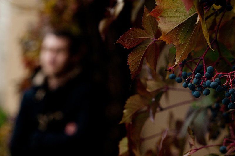 Заяцphoto preview