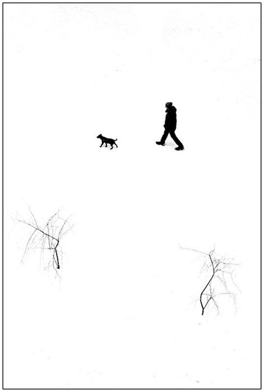 Прогулка с собакойphoto preview