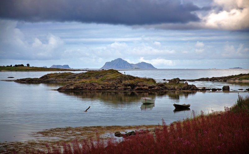 Lofotenphoto preview