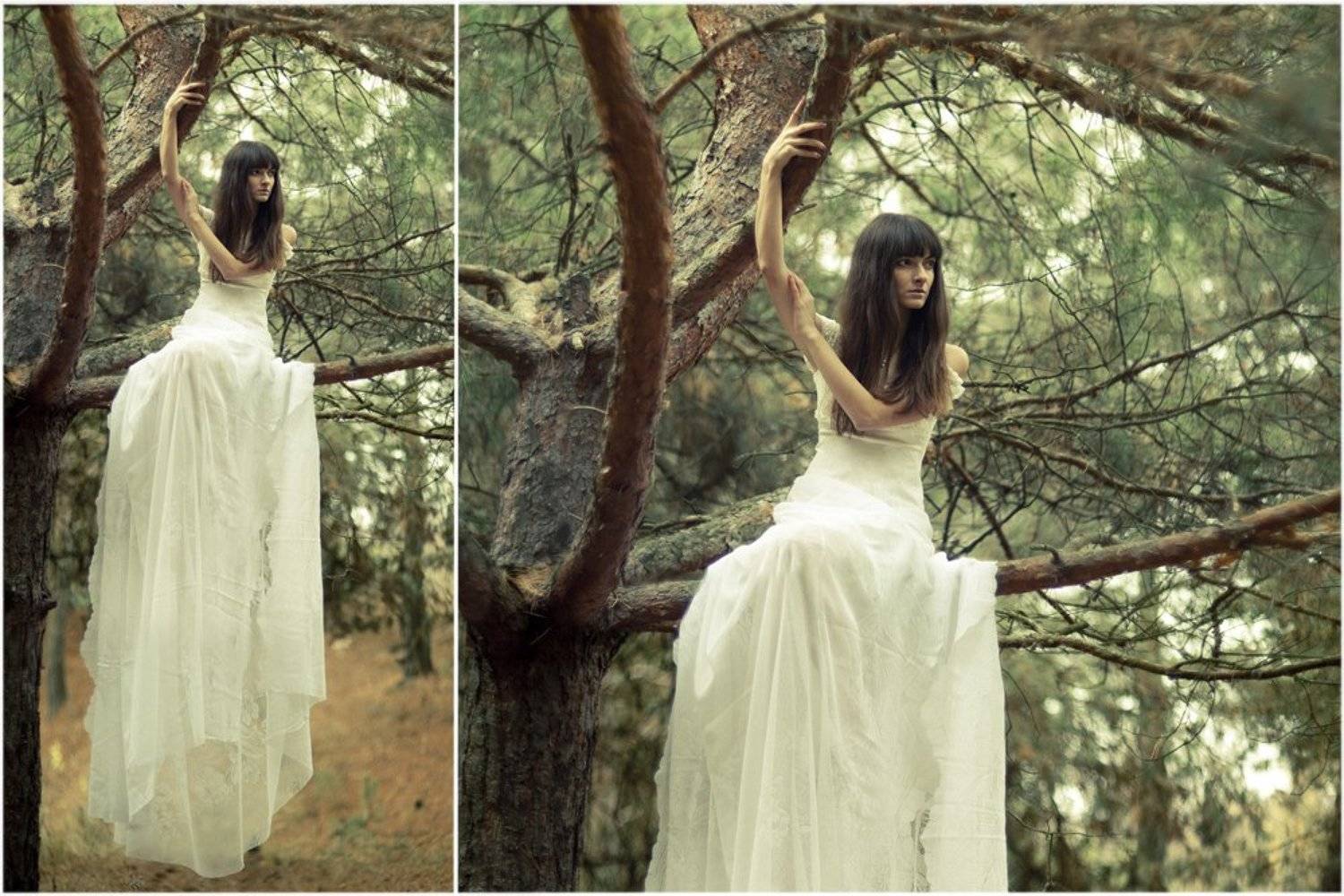 Автор: Александр Шаюнов , Александр Шаюнов