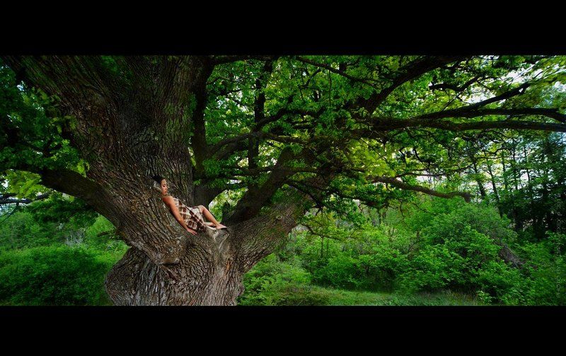 oak oak housephoto preview