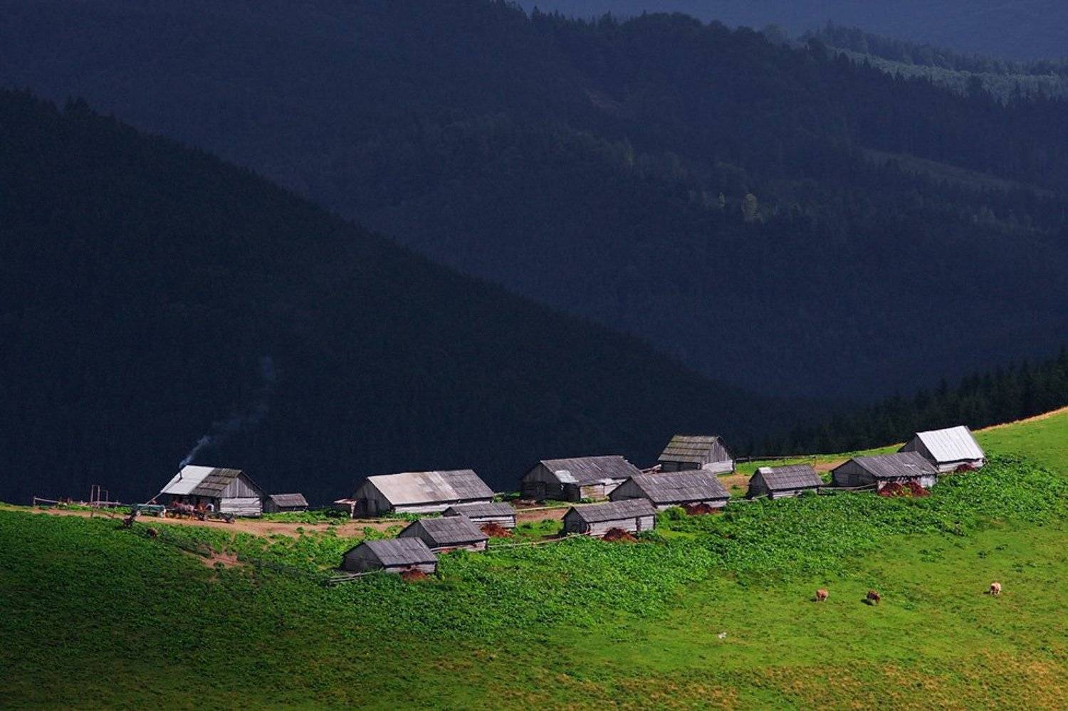 карпаты, Тарас