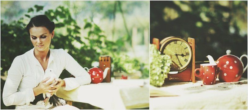 голуб, натюрморт, осень Відіслані рядки...листи...photo preview