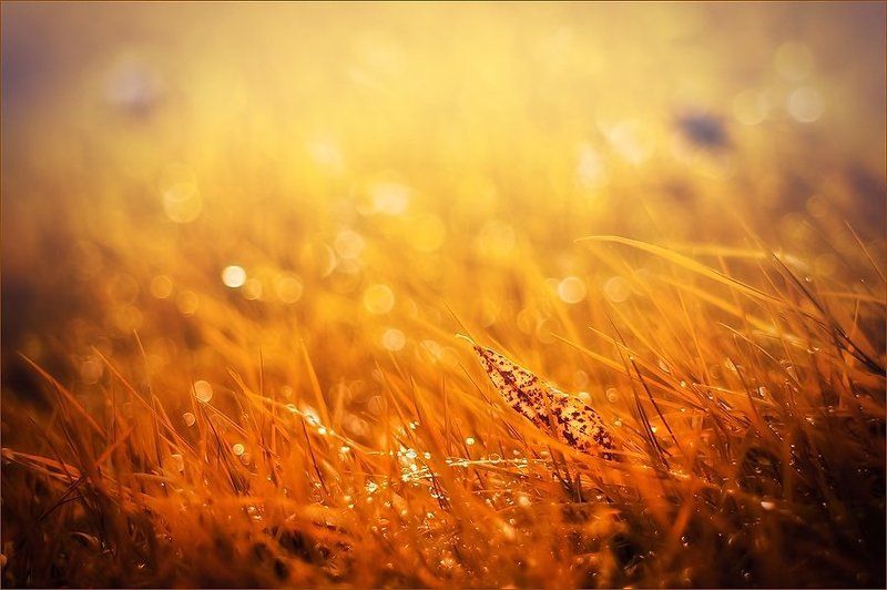 Мои 10 работphoto preview