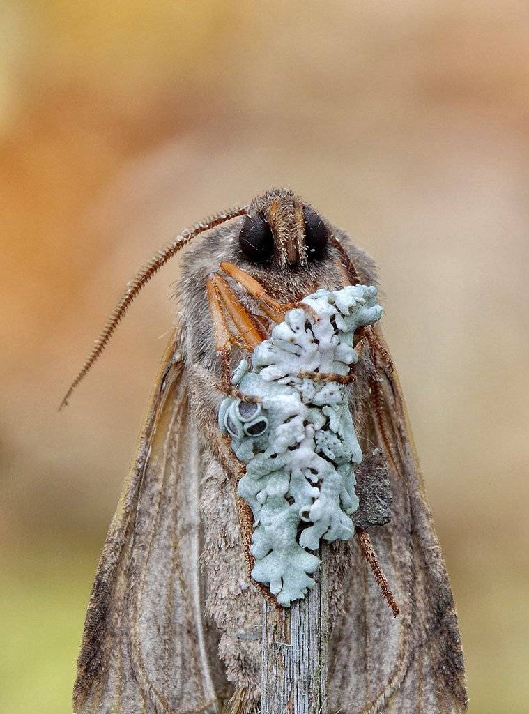 Первое свидание. Автор: Сергей Таланов , Сергей Таланов