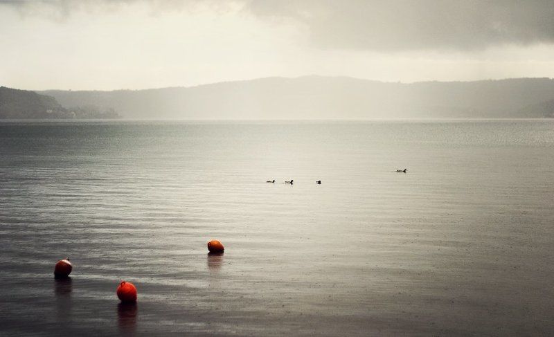 I love the rainphoto preview