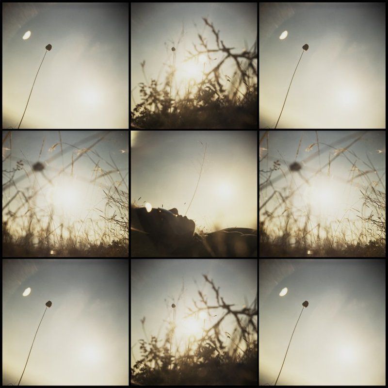 purgation of excessive passion фото превью