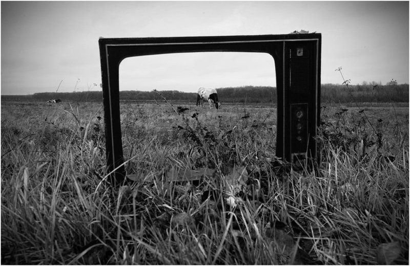 жанр, природа, поле Discoveryphoto preview