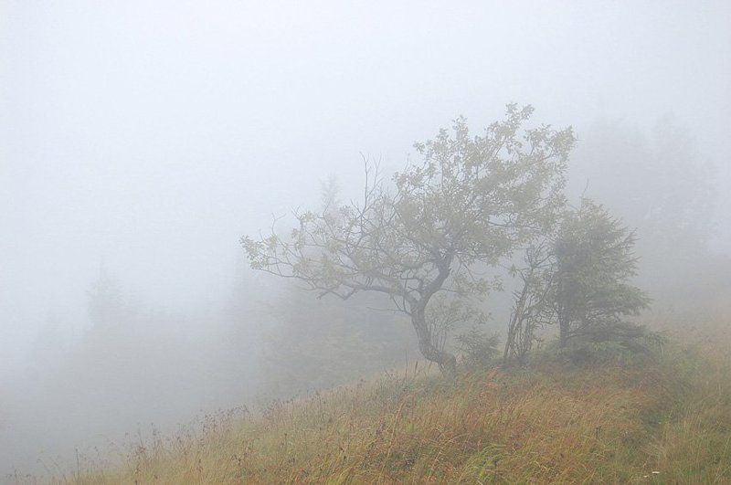 карпати Спокій / Calmphoto preview