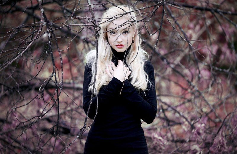 Богряная осеньphoto preview